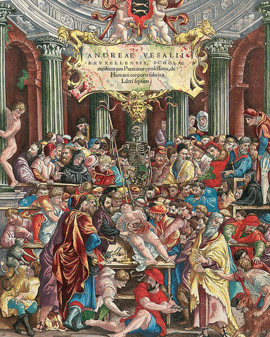 De Humani Corporis Fabrica