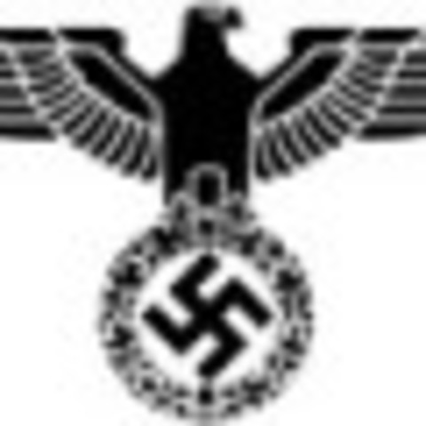 The Nazi Party
