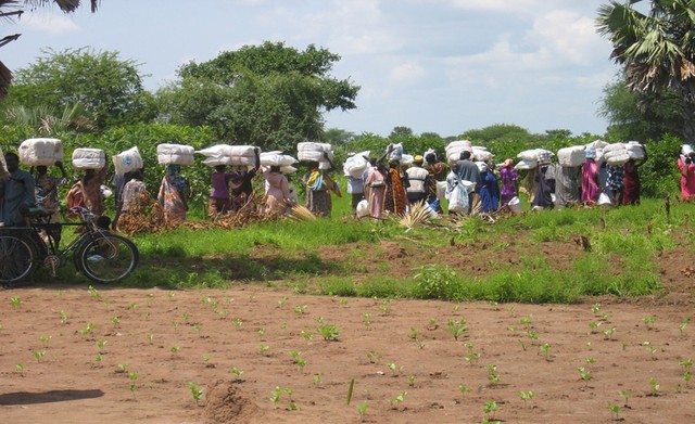 violencia de persecucion