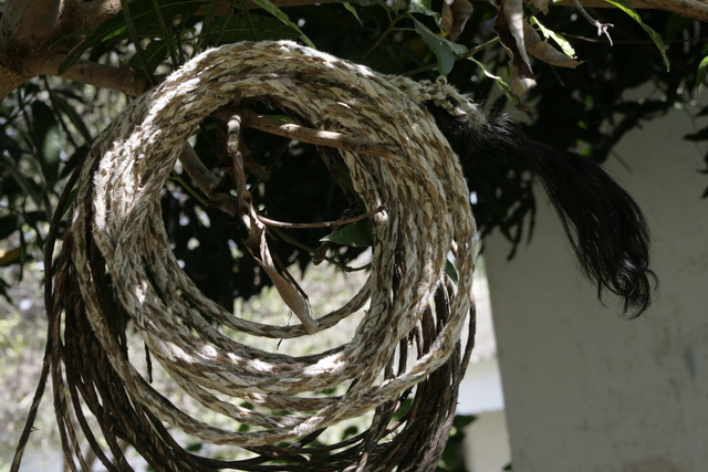 ELABORACION DE LA MAROTA