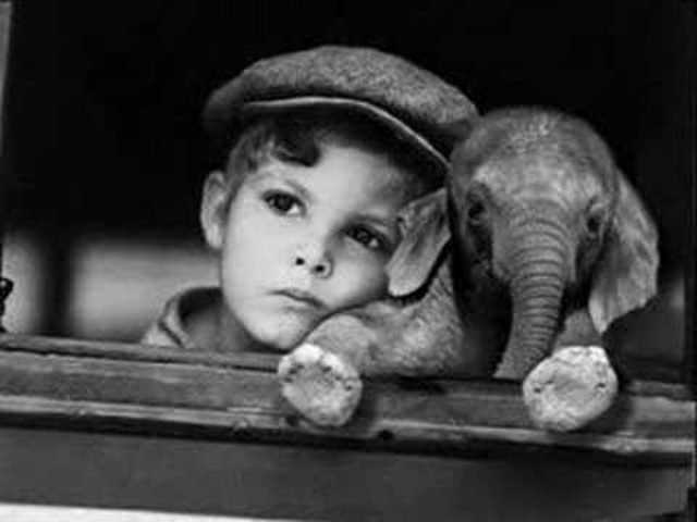 inventan la fotografía