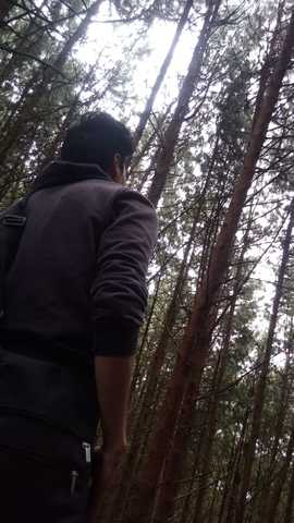 SALIDA A LA BALVANERA