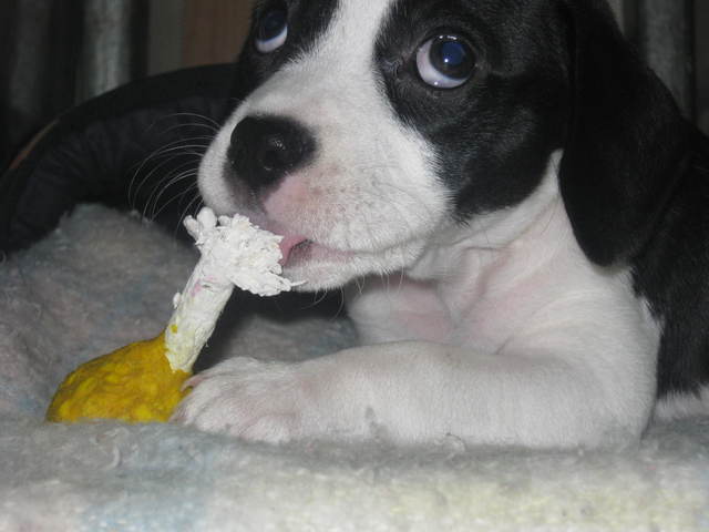 Mis nueve  años - My nine years