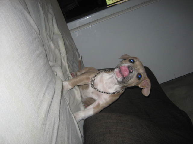 Mis diez años -My ten years