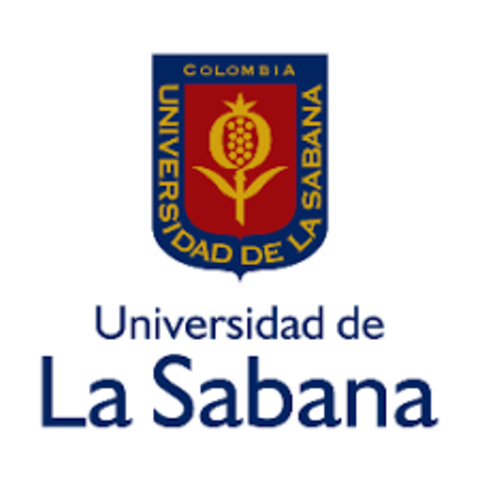 Mi primer trabajo formal