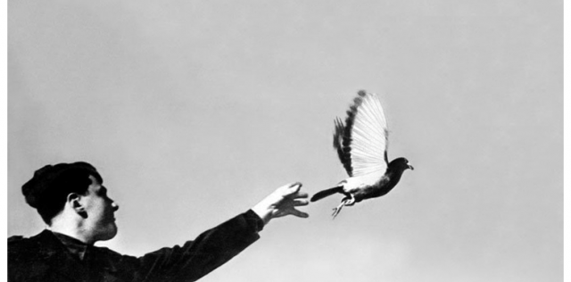 SEGUNDA GUERRA MUNDIAL