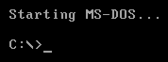 * MS-DOS (MicroSoft Disk Operating System)