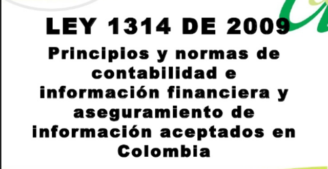 Ley 1314