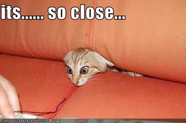 Founding of Carolina