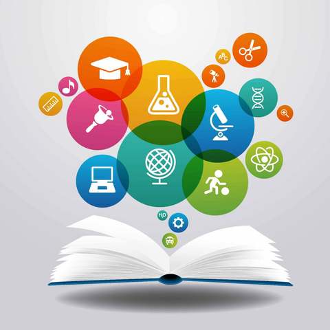 A educação em Sapucaia do Sul hoje