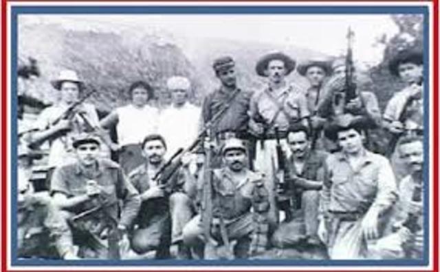 GUERRILLAS CASTRISTAS