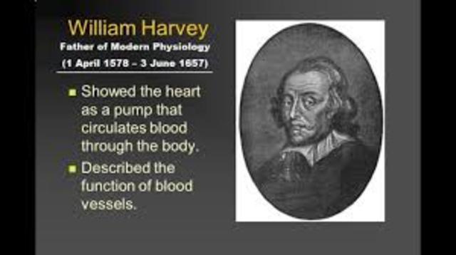 William Harvey showed that the heart acted as a pump to circulate blood throughout the body