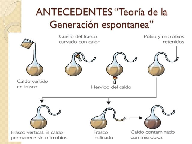 Teoría de la evolución química