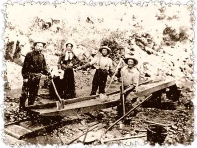 The California Gold Rush