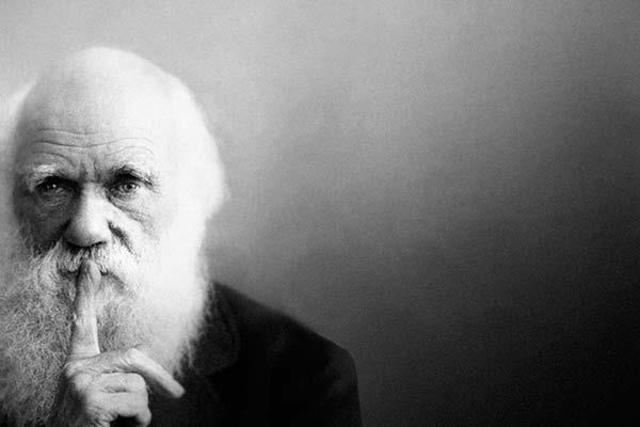 Crónica de una muerte anunciada