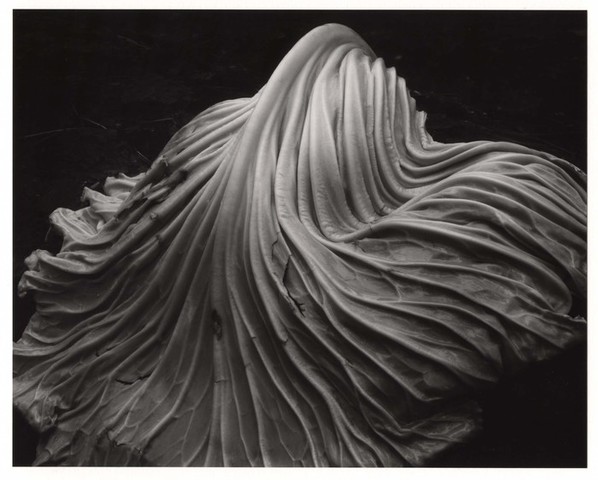 Edward Weston