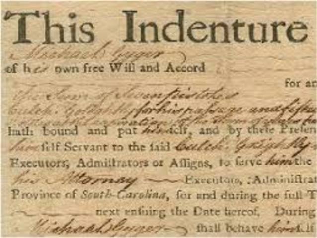 Indentured Servitude in Chesapeake Colonies