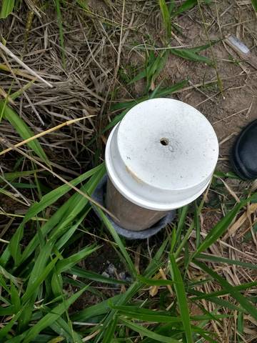Leitura dos piezômetros.