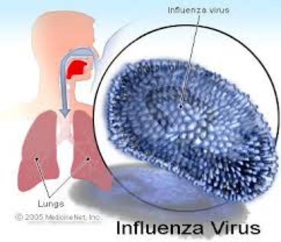 First vaccine developed for influenza