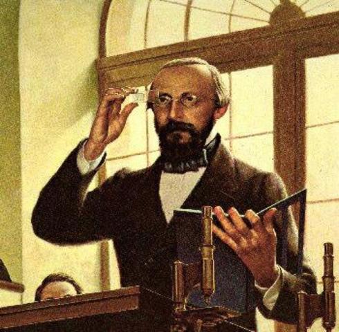 Virchow