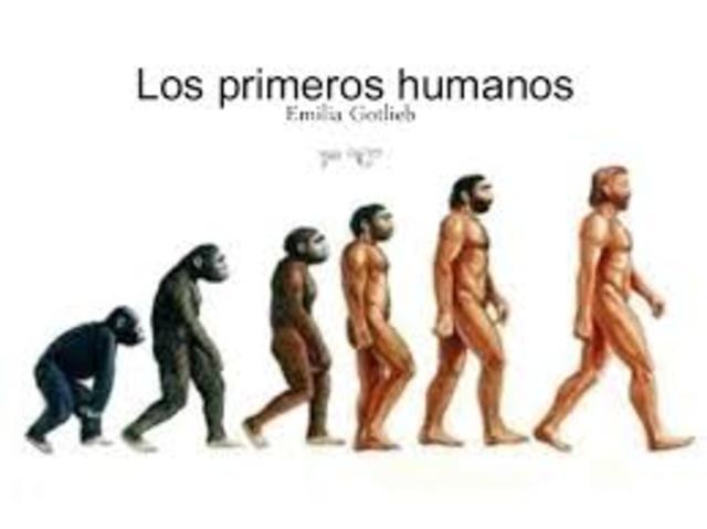 Aparición del hombre