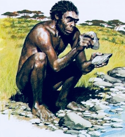 Homo Habilis