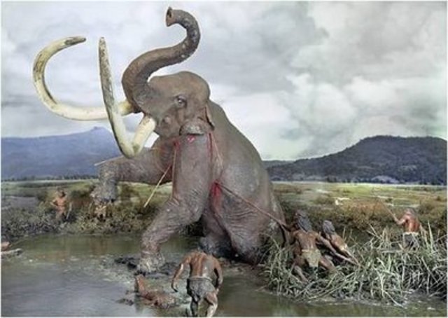 EDAD DEL PALEOLÍTICO