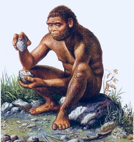 Homo Erectus