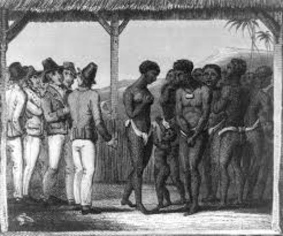 Caribbean Colonies (sugar)