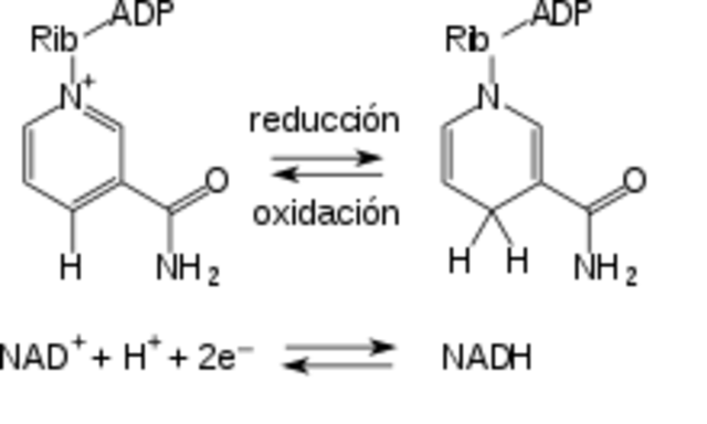 TEORÍA DE LOS SÍNDROMES PREFORMADOS