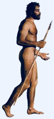 Homo Sapiens Sapiens