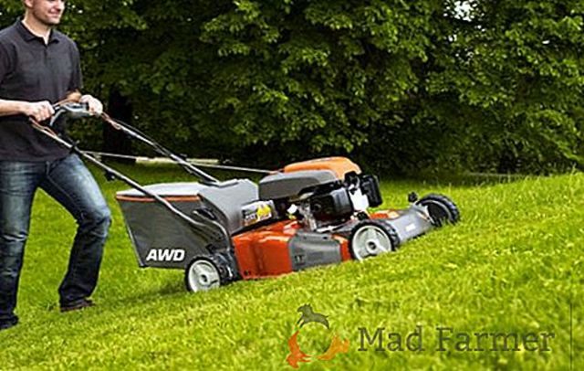 Aparición de las hierbas