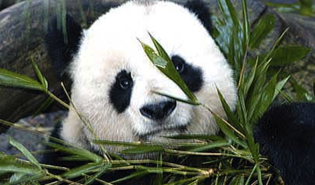 protección ambiental