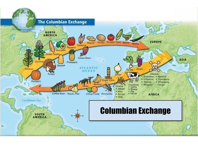 The Colombian Exchange