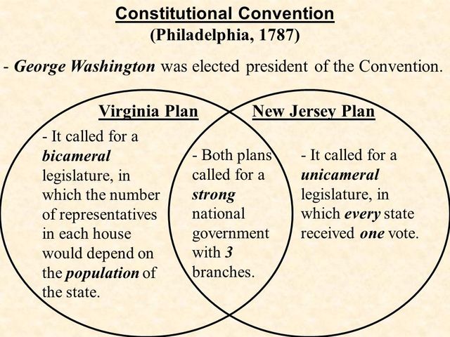 Three Branches (Three-Tier System)