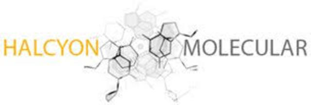 INVERSION EN HAYCYON MOLECULAR