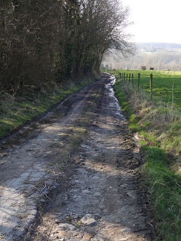 En TRAIL avec Ténéré - Episode 2: Miss emmène sa grenouille!