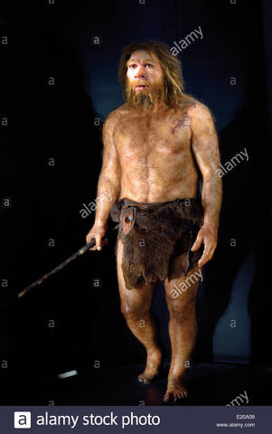 Homo neanderthalensis (Banyoles)