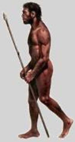 Homo Sapiens Sapiens