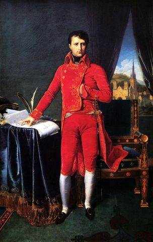 Napoleon was named consul.