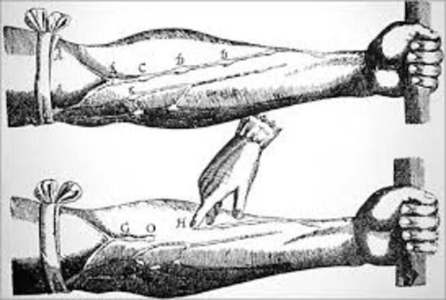 William Harvey showed that the heart acted as a pump to circulate blood throughout the body