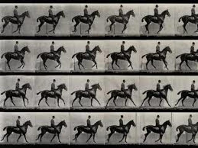 Edward Muybridge   1830-1904