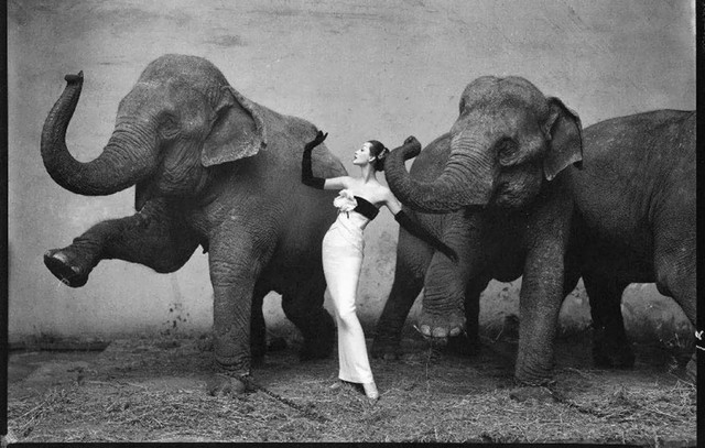 Richard Avedon