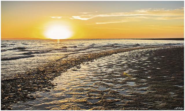 Golfo de Santa Clara