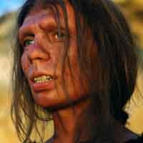 Homo sapiens sapiens