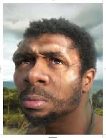 Homo Sapiens Sapiens