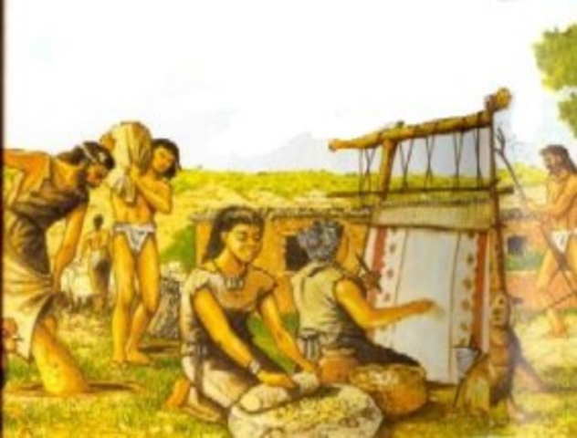 REVOLUCIÓN AGRÍCOLA