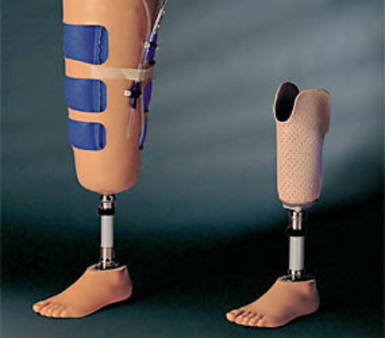 Perfección De Los Pies  Roboticos