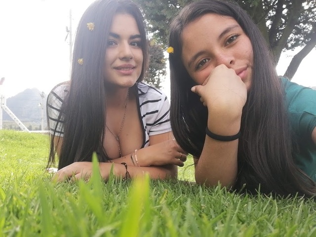 Ingreso a la universidad