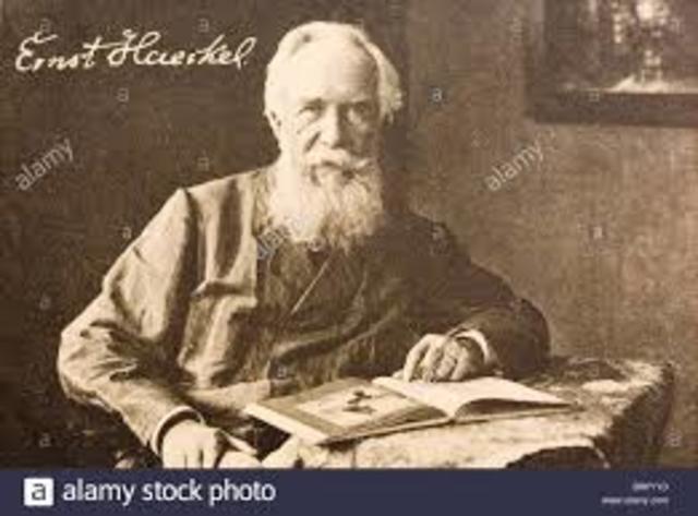 ERNST HEINRICH PHILIP AUGUS HAECKEL